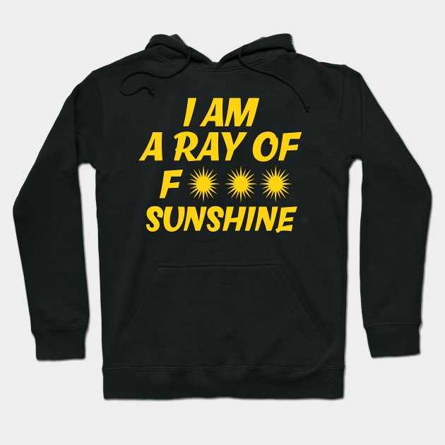 I am A Ray Of Fucking Sunshine - sarcastic gift idea Hoodie by PaulJus